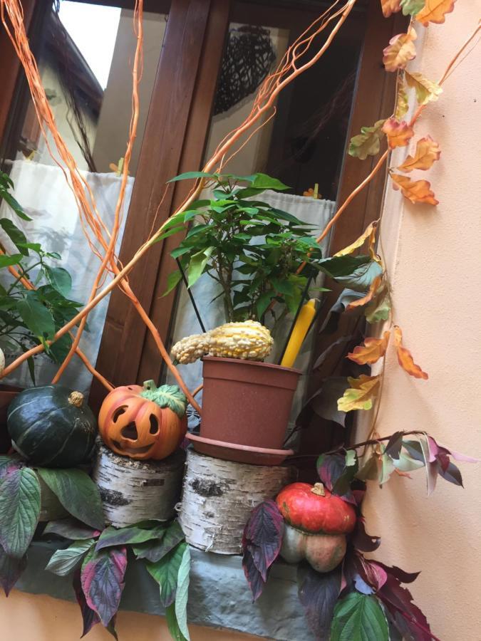 La Maison D'Alize 莱科 外观 照片