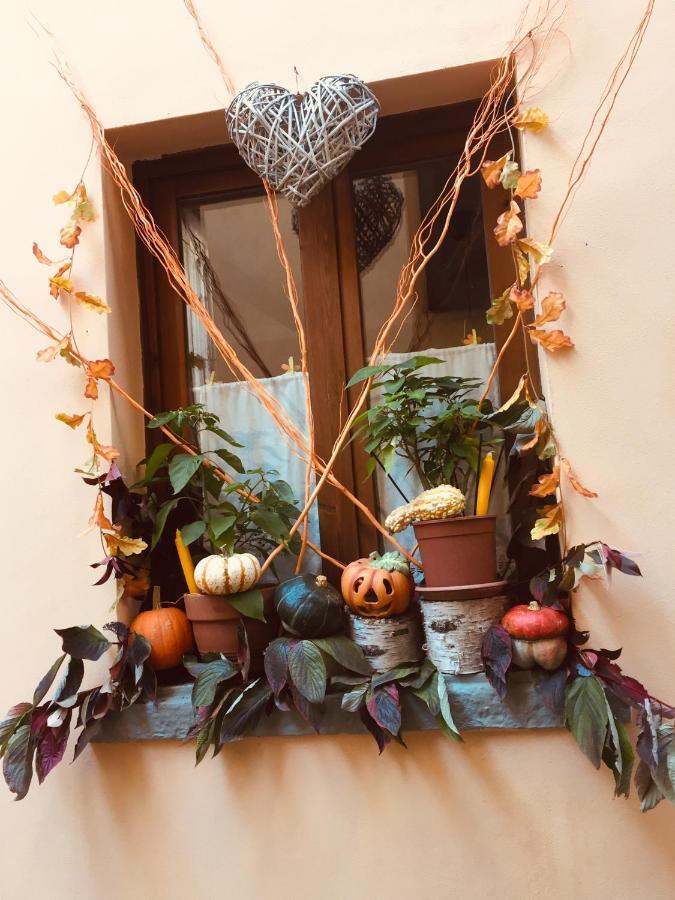 La Maison D'Alize 莱科 外观 照片